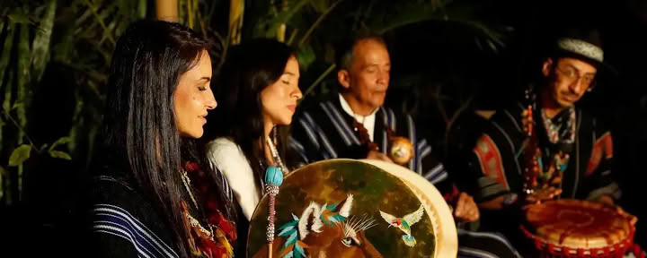 Retraite traditionnelle d'Ayahuasca en Autriche 3 jours