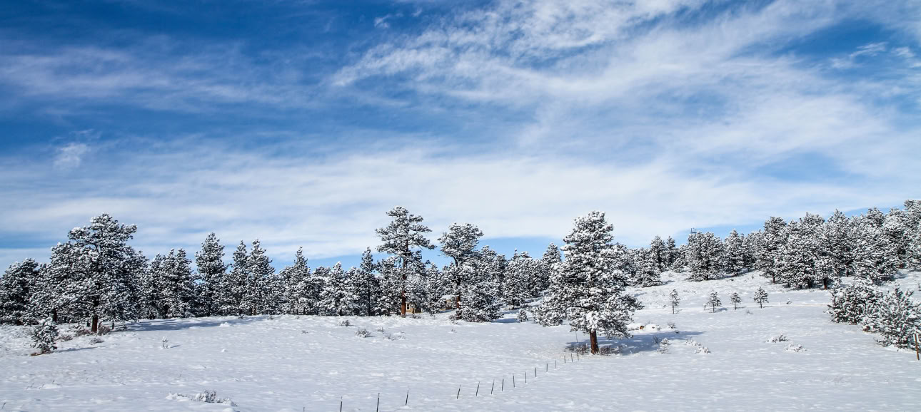 Healing with Nature : Une retraite du solstice d’hiver