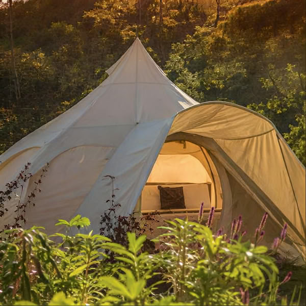 Retraite intime d'ayahuasca | Kinkara, Costa Rica | 11 - 17 juillet 2026