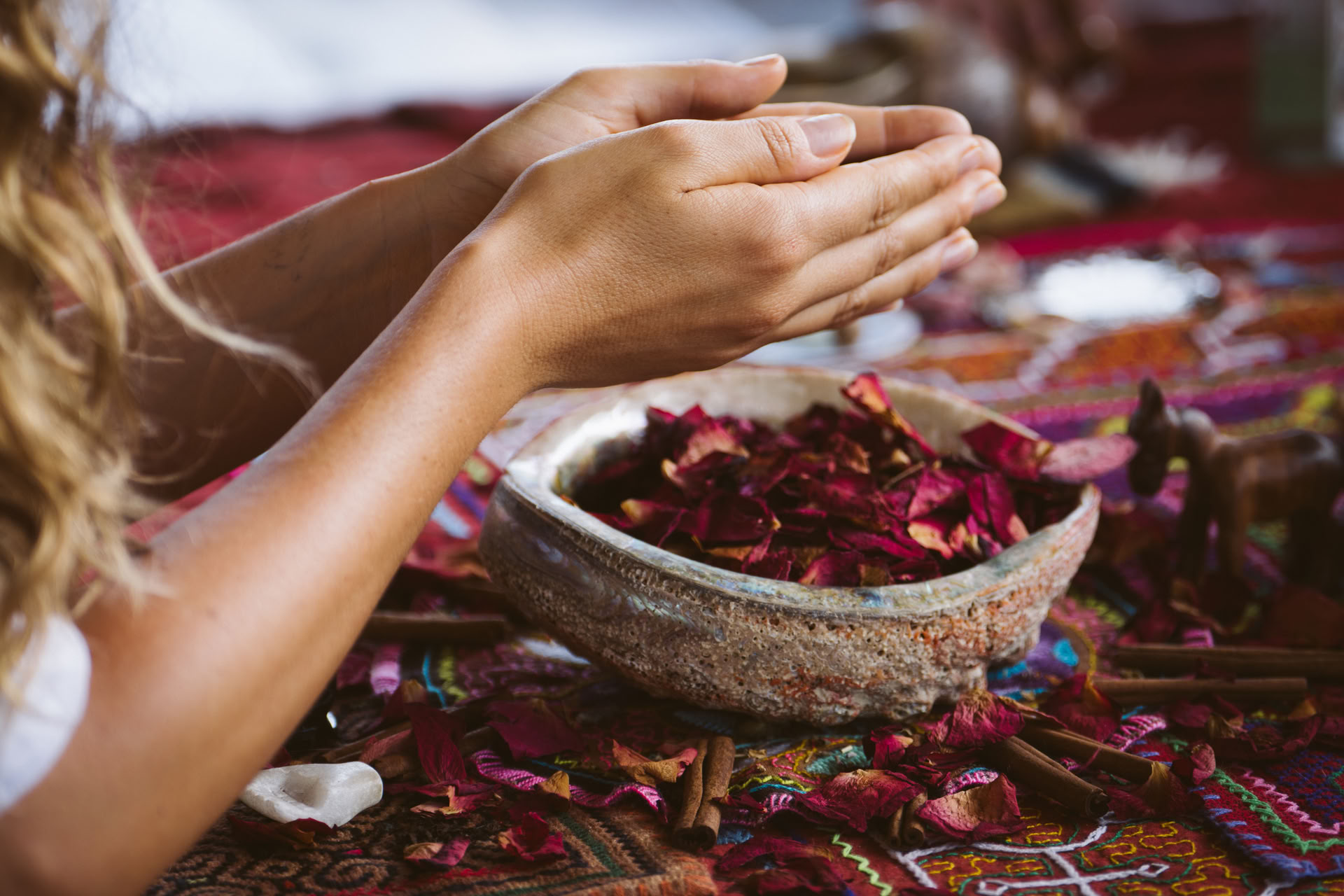 Retraite intime à l’ayahuasca