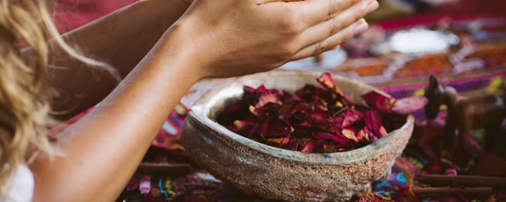 Retraite intime à l’ayahuasca