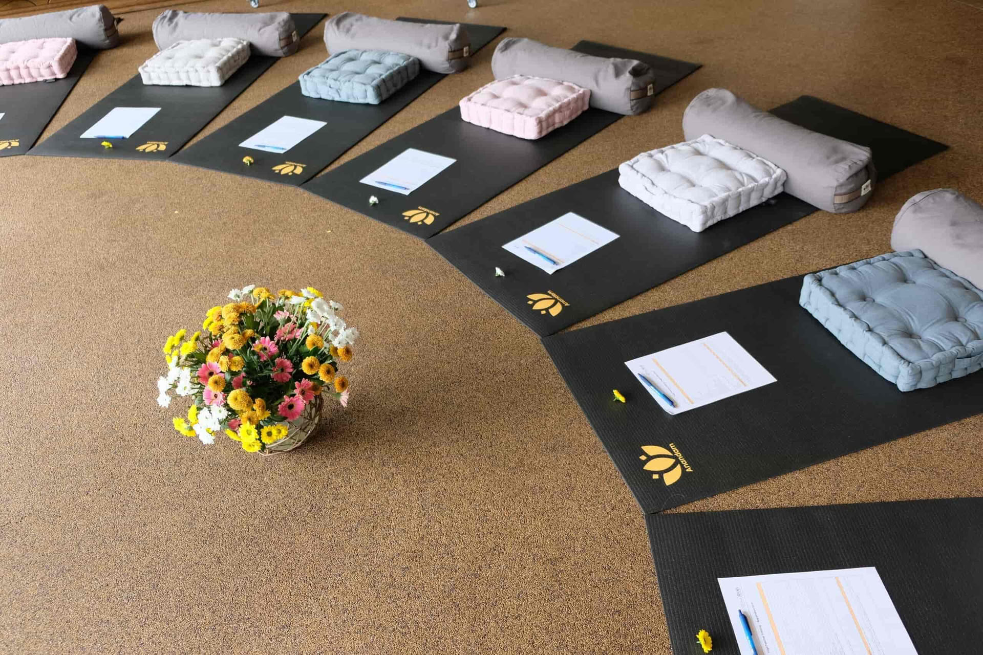 50 heures de formation Yoga Nidra en Allemagne