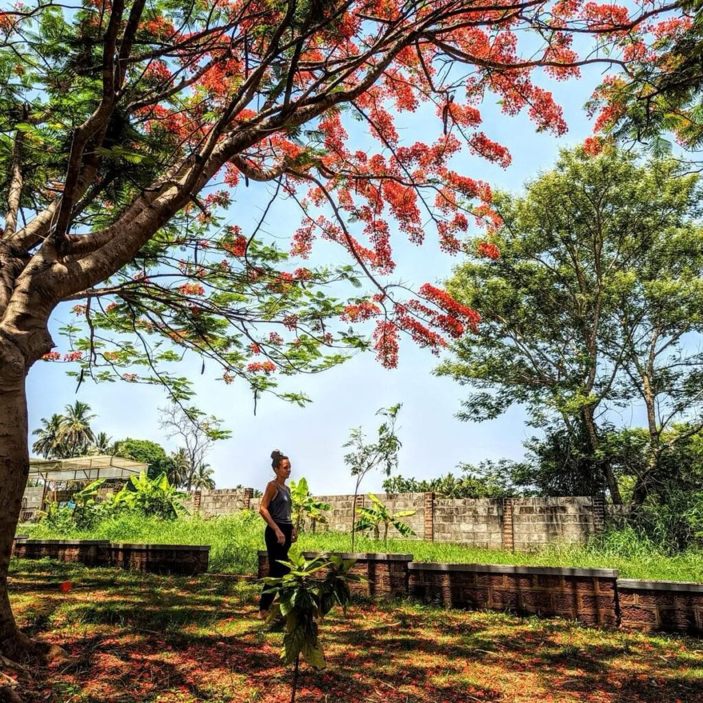 Cours sur les Yoga Sutra de Patanjali