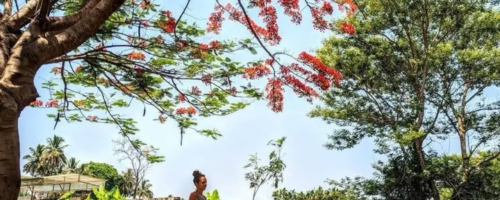 Cours sur les Yoga Sutra de Patanjali