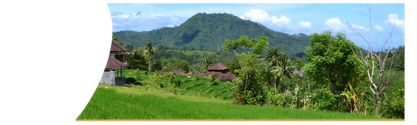 Semaine de guérison à Bali