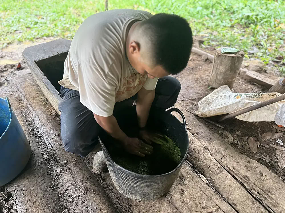 Retraite d’Ayahuasca Medicine Maker avec Taita Miguel