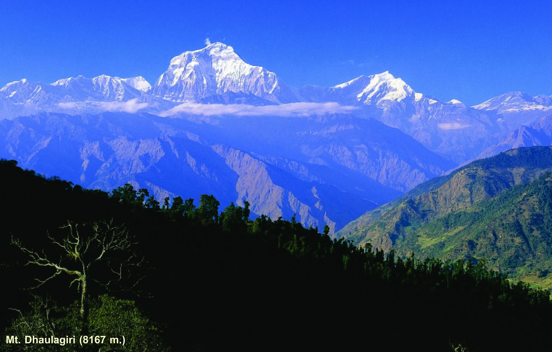 Machhapuchhre Trek et Exploration de l'Himalaya 11 jours