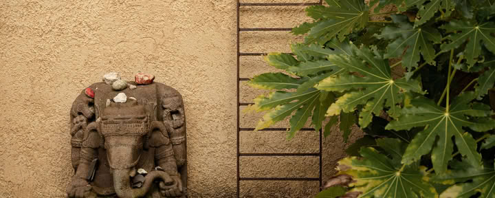 7 jours Silence – Détox – retraite de mouvement