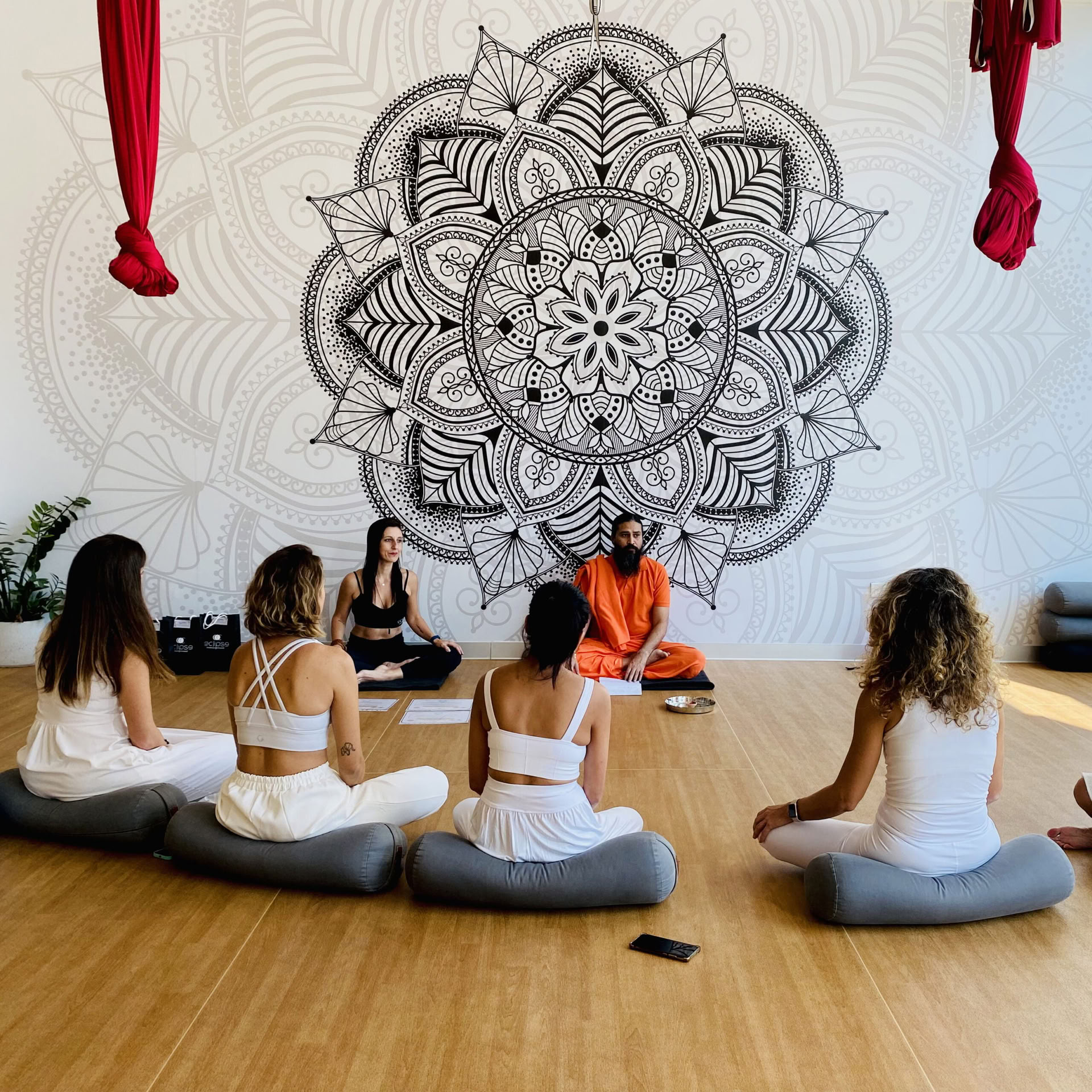 50 heures Méditation & Pranayama (Respiration consciente) cours maître (YACEP) HYBRIDE
