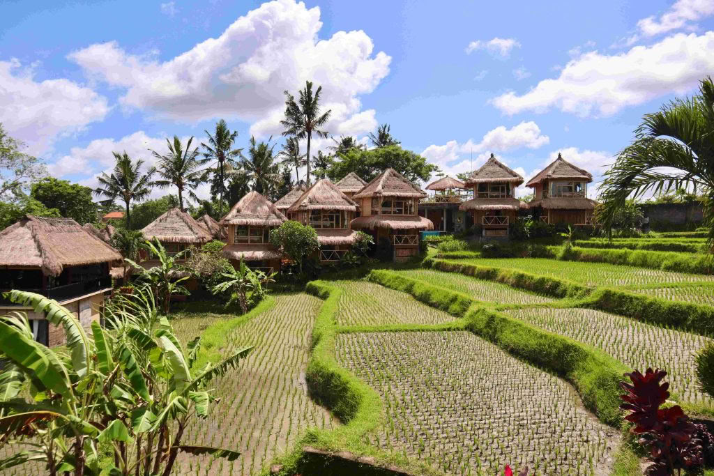 200 heures de formation de professeur de yoga à Ubud, Bali | cours RYT 200 – 30 août - 19 sept.