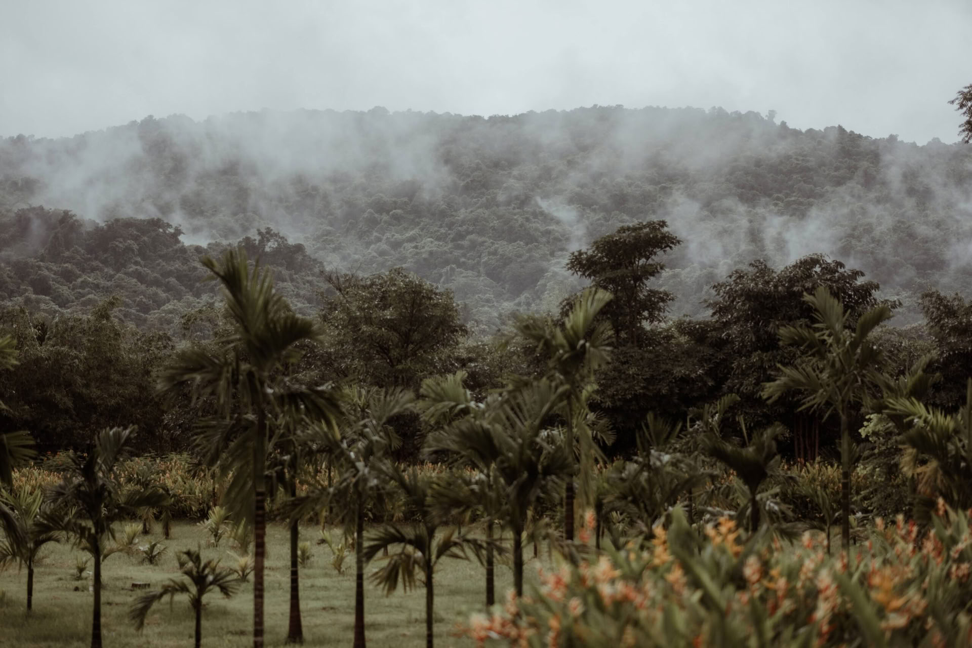 Dimora di Datu Goa – Un retour à la source