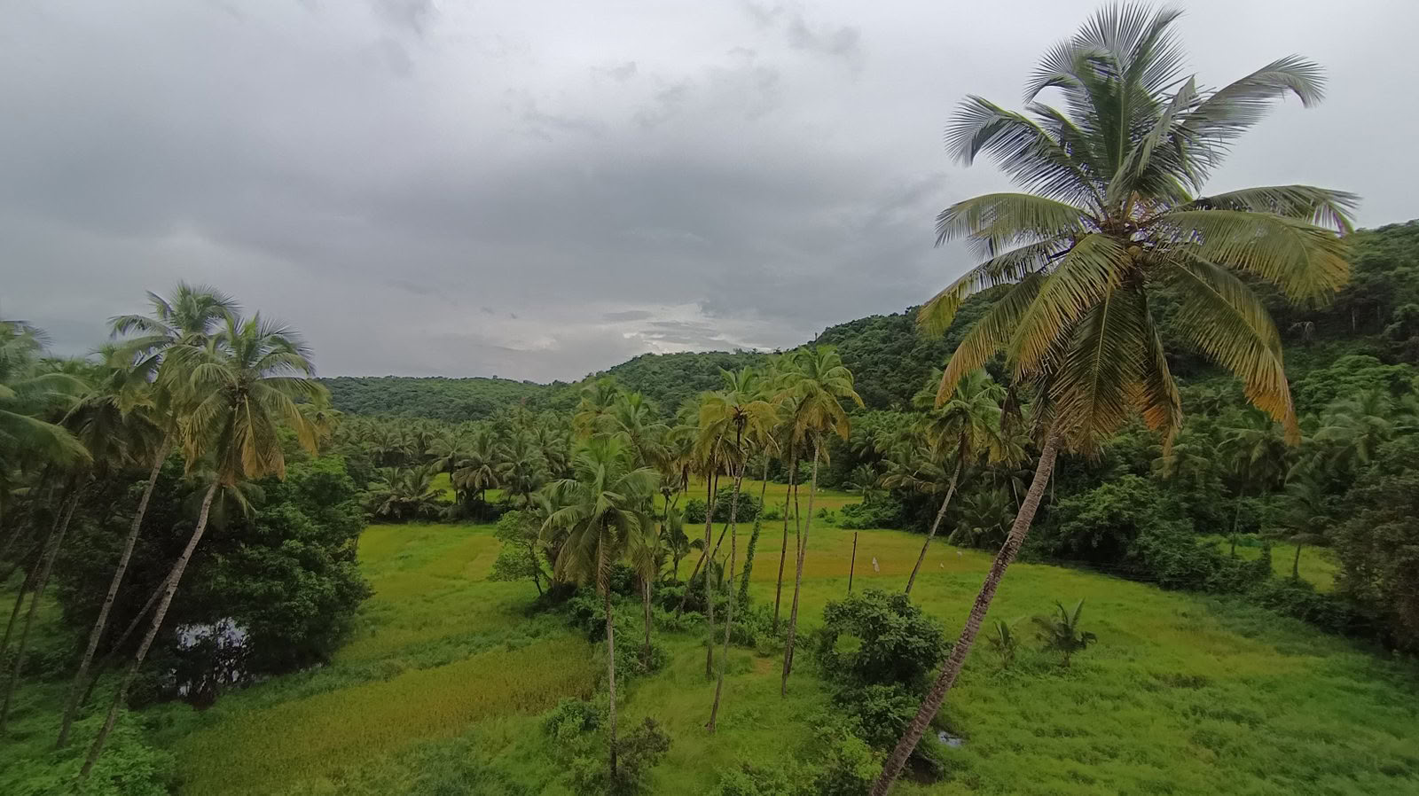 Formation avancée de 100 heures en Tantra et Kundalini Yoga à Goa, en Inde