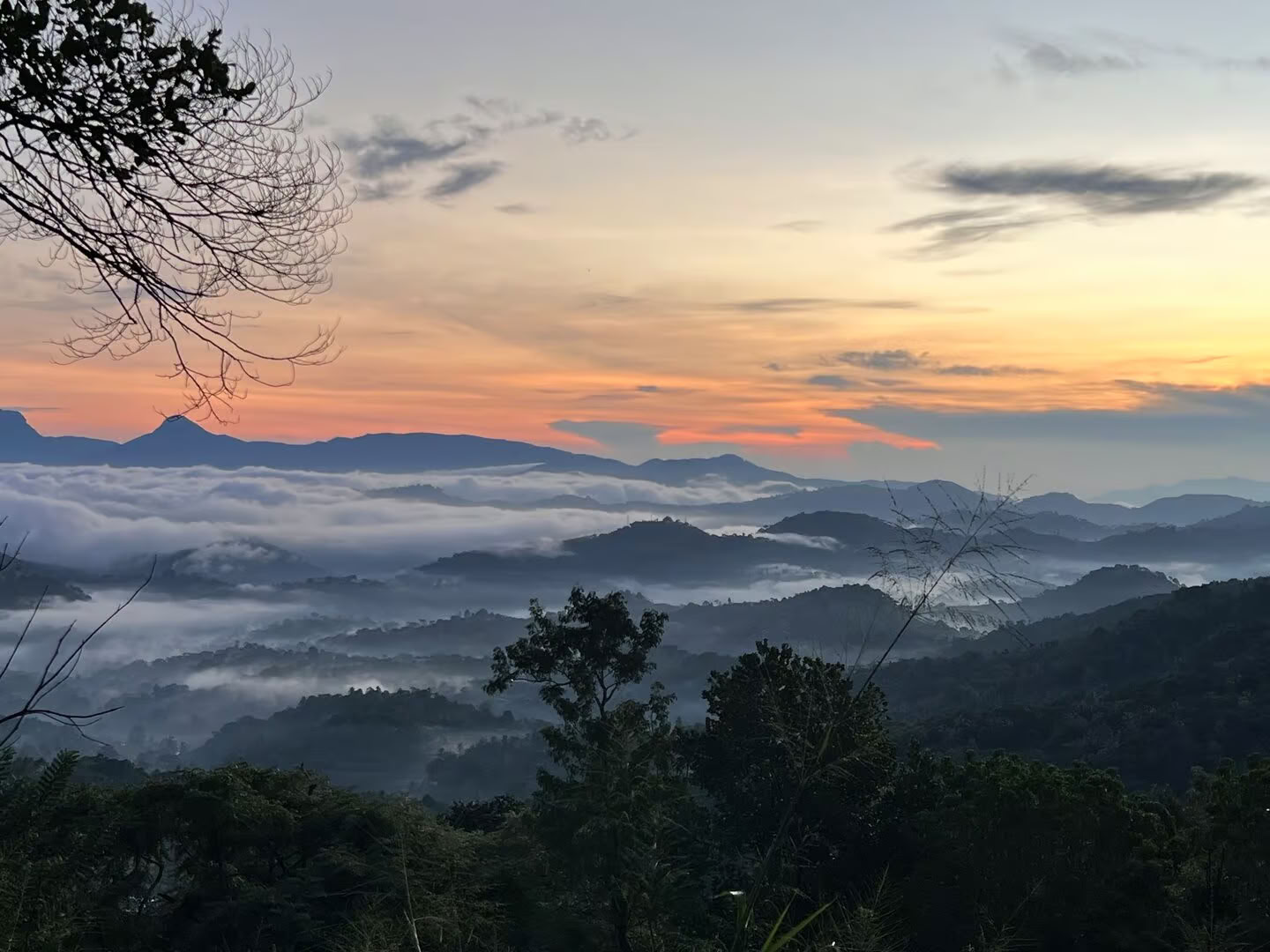 Yoga, Voyage & Ayurveda au Sri Lanka : Une aventure pour l'âme