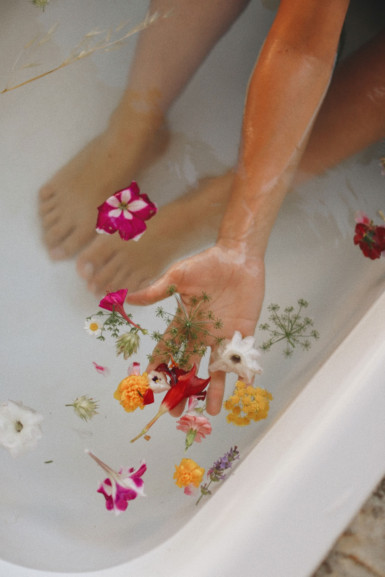 Yoga, Détox et Cuisine aux Herbes retraite par Dr Lemm