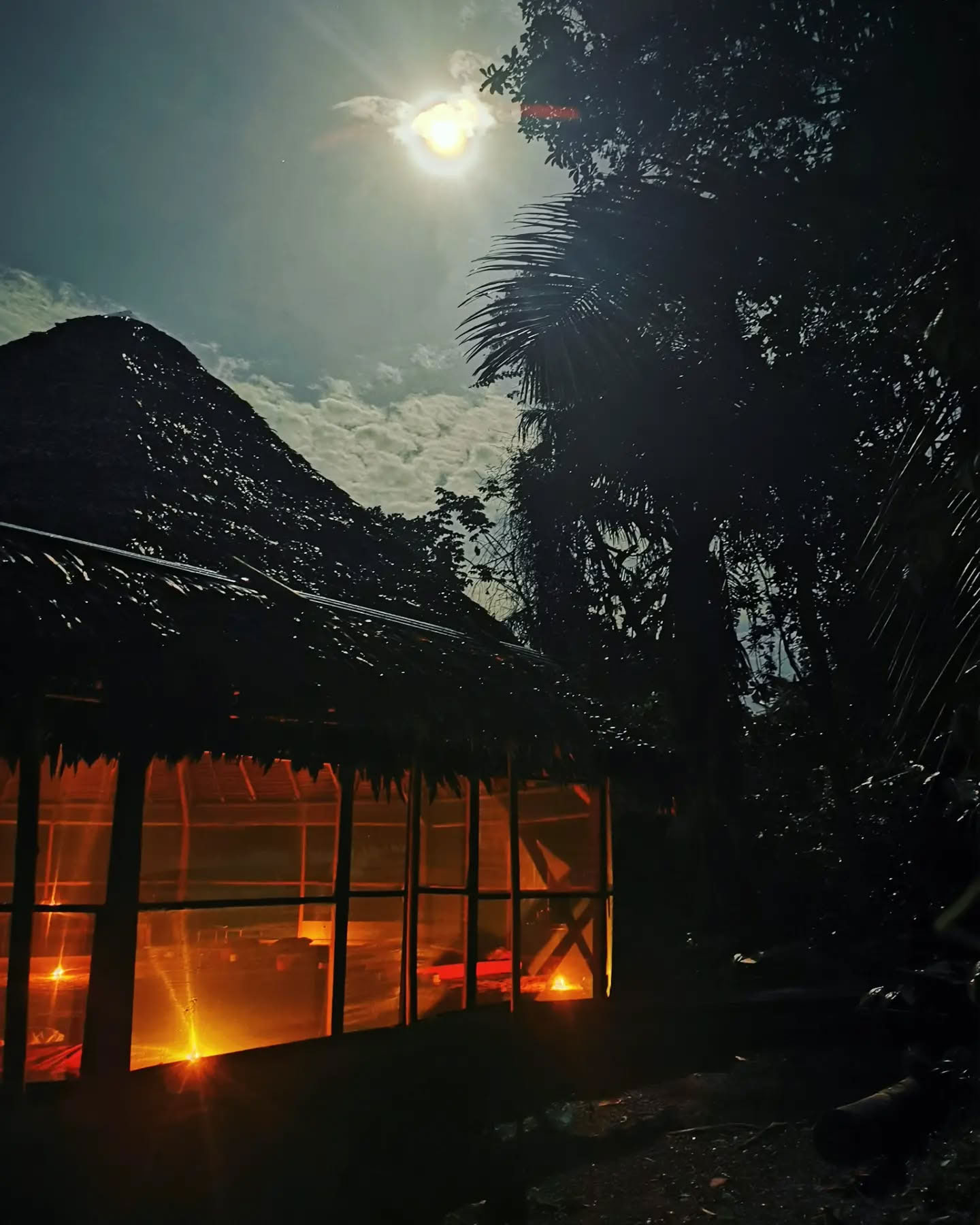 Retraite Ayahuasca de 7 jours