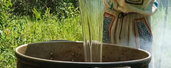 Retraite Ayahuasca de 7 jours