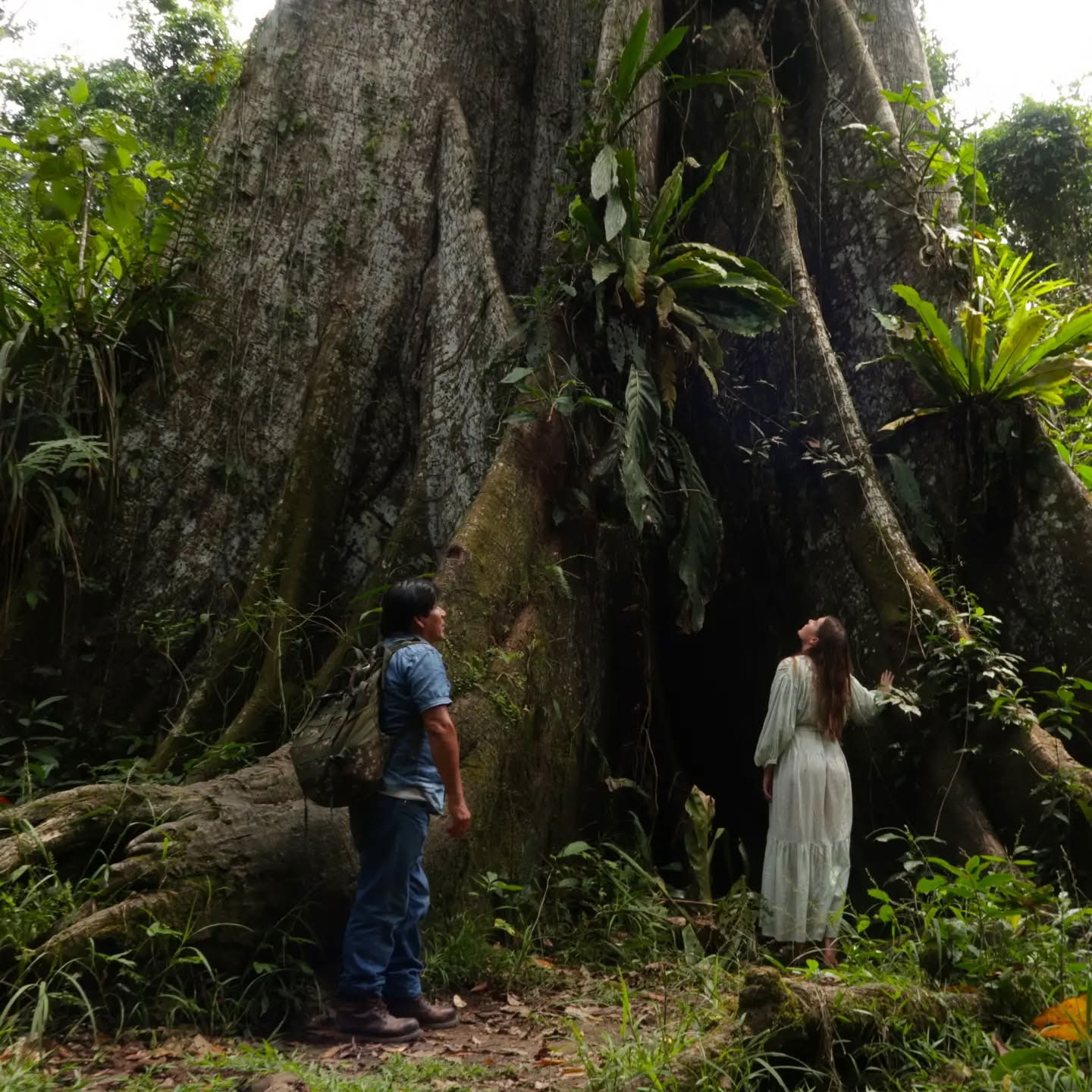 Retraite Ayahuasca de 14 jours