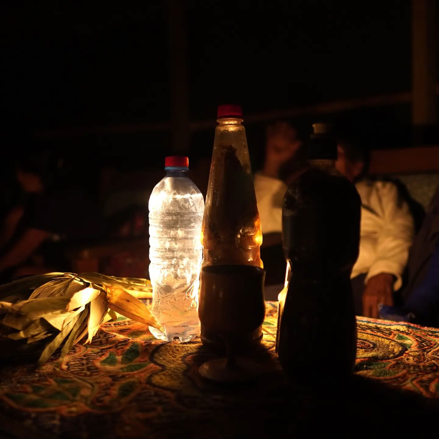 Retraite Ayahuasca de 14 jours