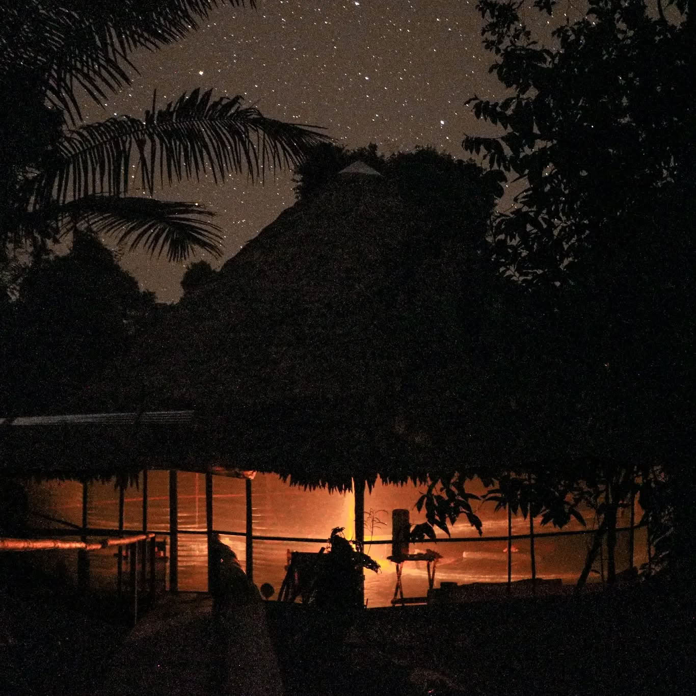 Retraite Ayahuasca de 14 jours