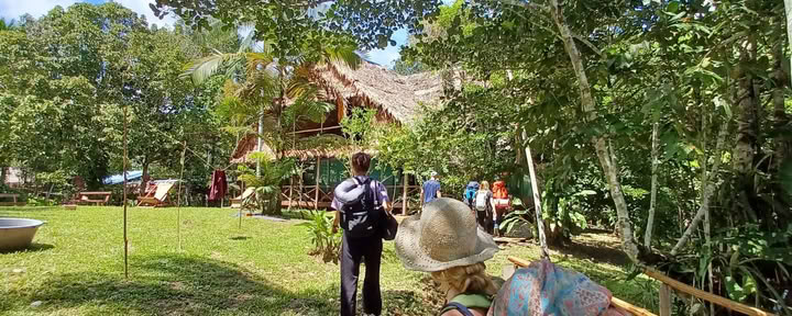 Retraite Ayahuasca de 14 jours