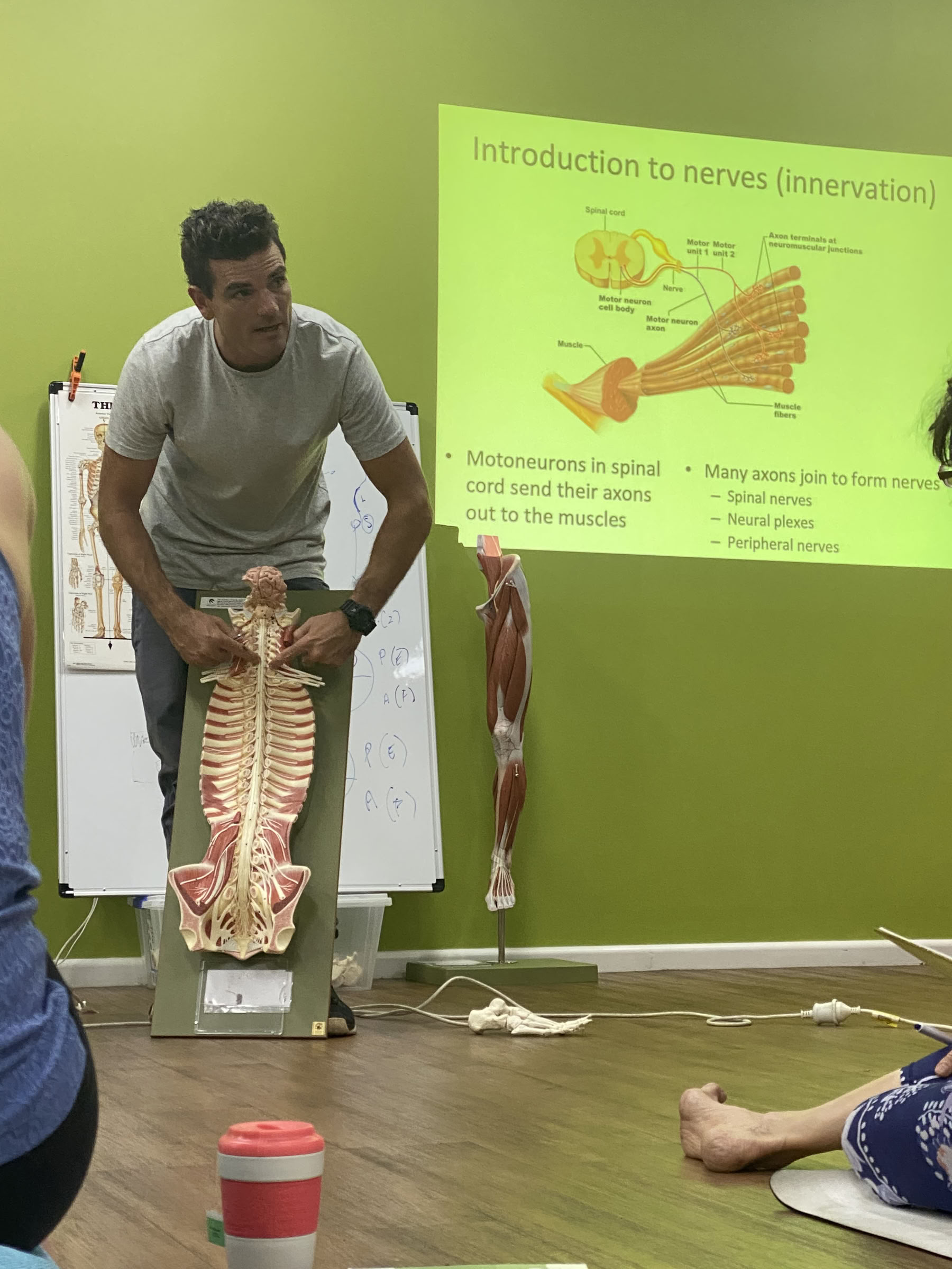 Immersion de yoga