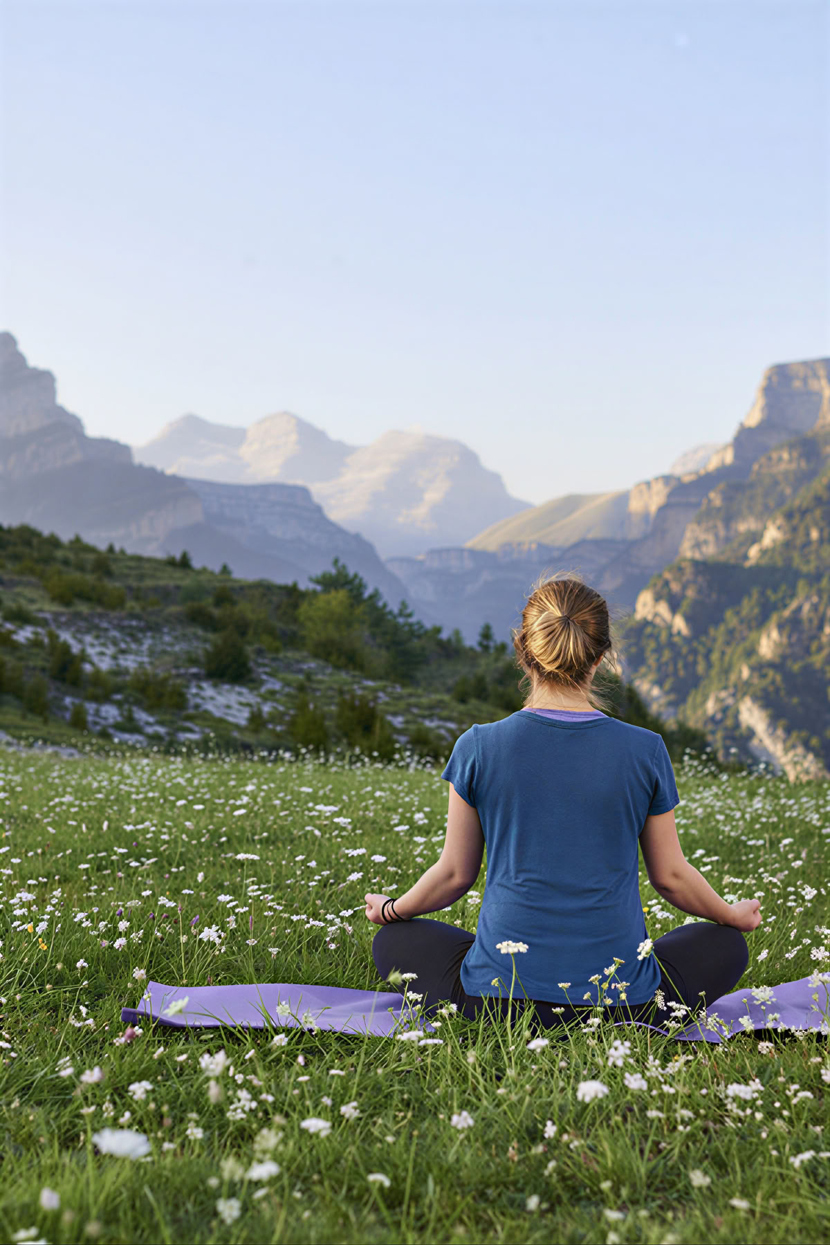 Beginning Anew : Yoga, Pleine conscience, Art & Nature Retraite