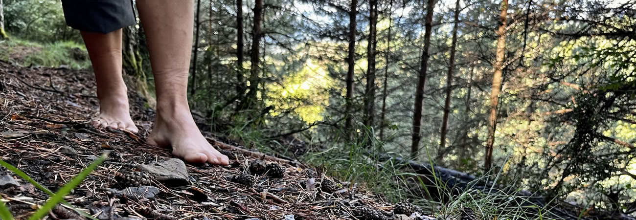 La paix dans la nature sauvage : retraite de yoga, d'art et de nature