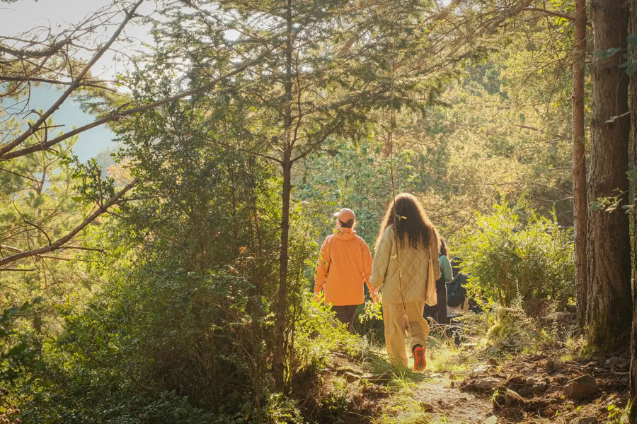 Bain de forêt : retraite de yoga, d’art et de nature