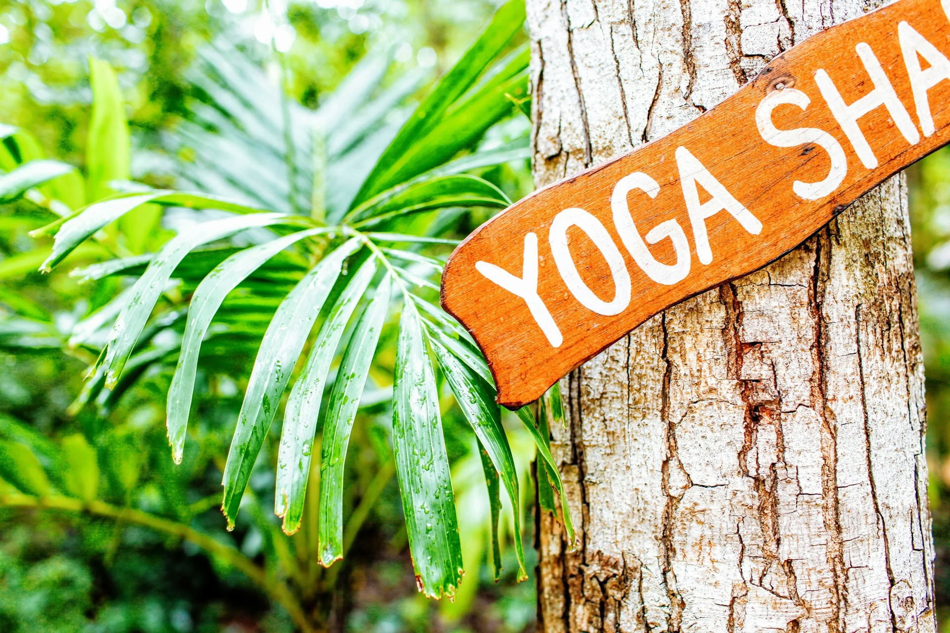 Retraite d’immersion en Ashtanga Yoga