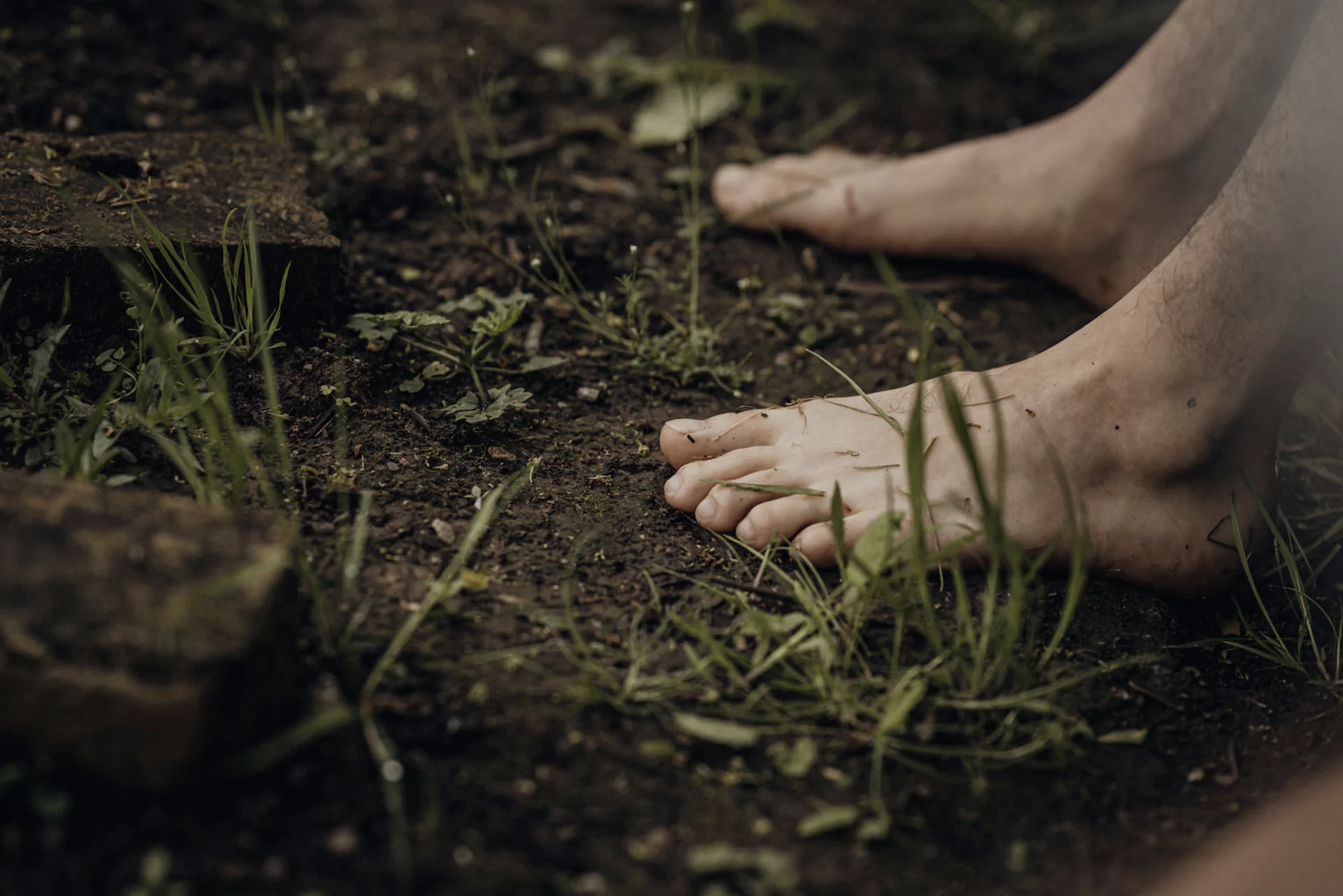 Camp Climat : Zéro et au-delà