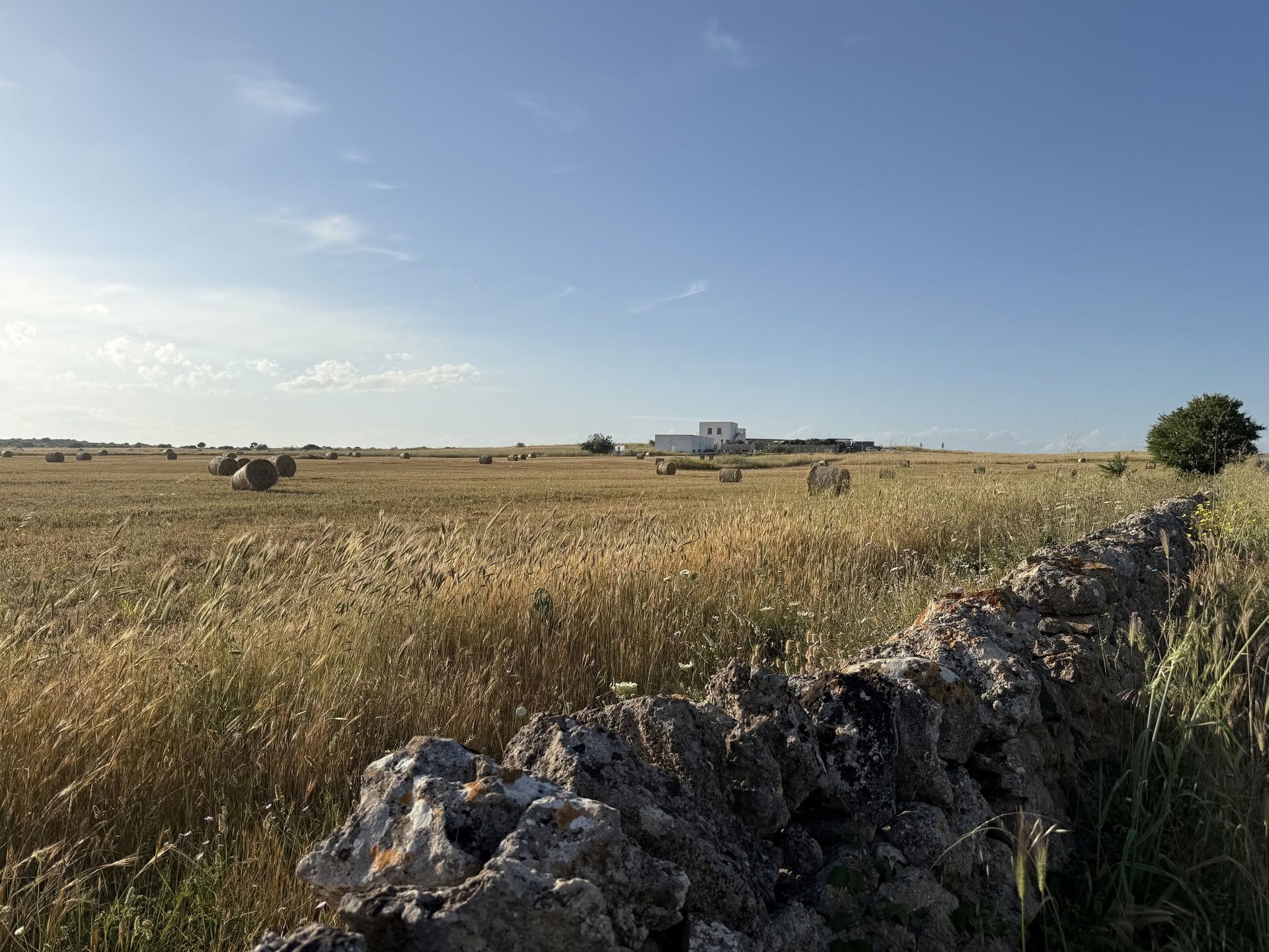 Conversations avec le lieu : une résidence créative à Masseria Specula