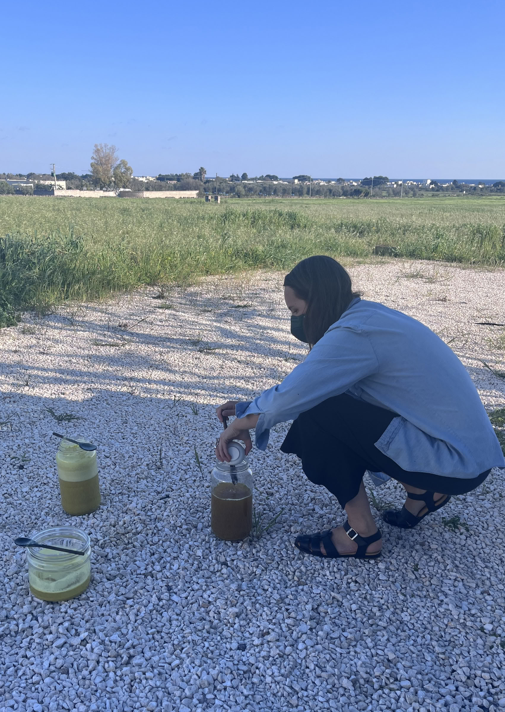 Visual Storytelling avec Wild Pigments