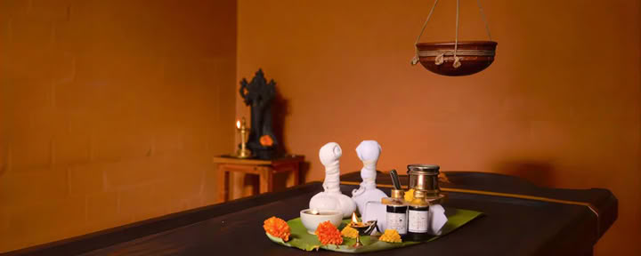 28 jours de traitement Panchakarma à Vaidyagrama — Coimbatore