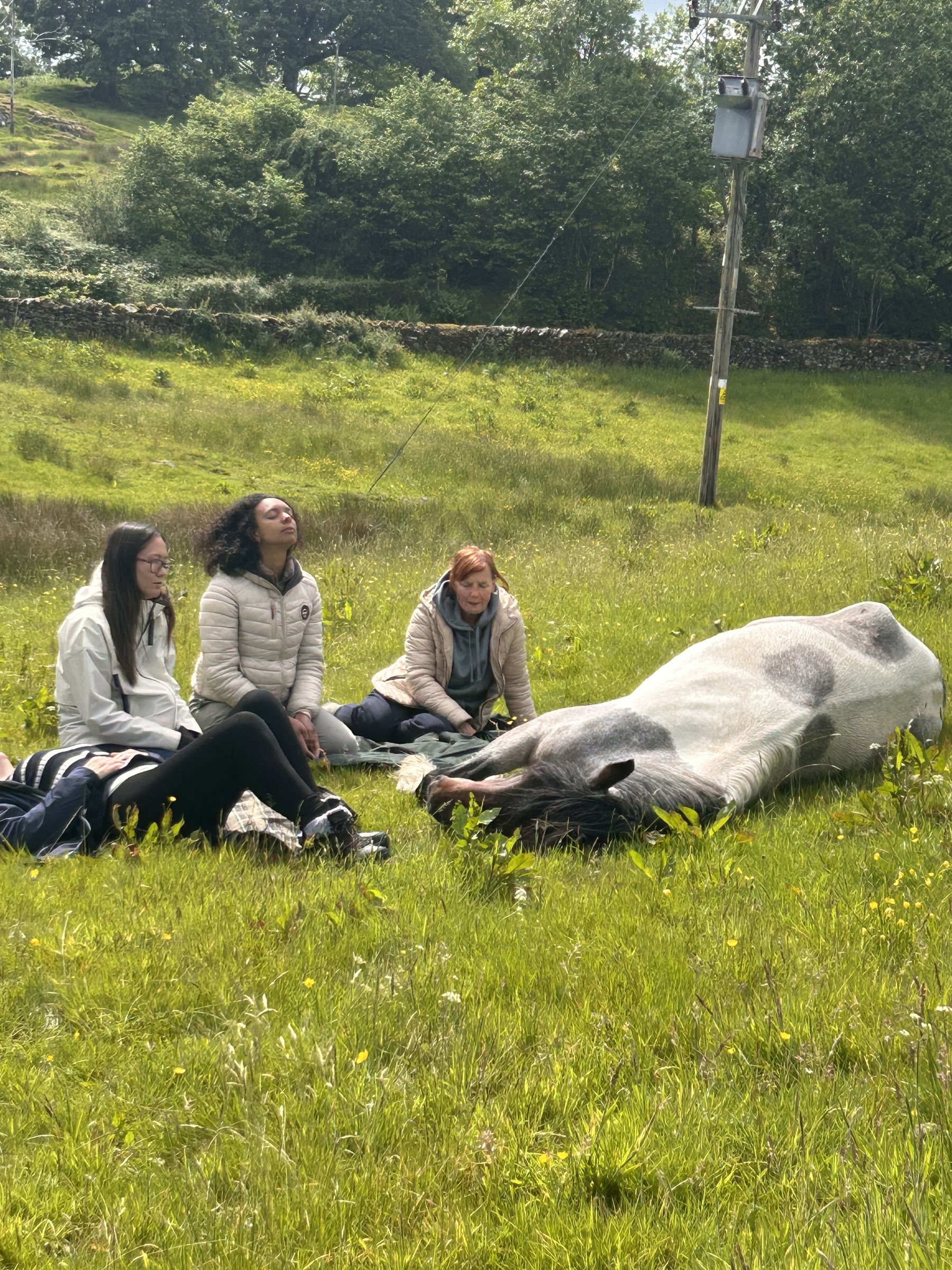 Guérison silencieuse avec les chevaux 18/10/2026 - 23/10/2026