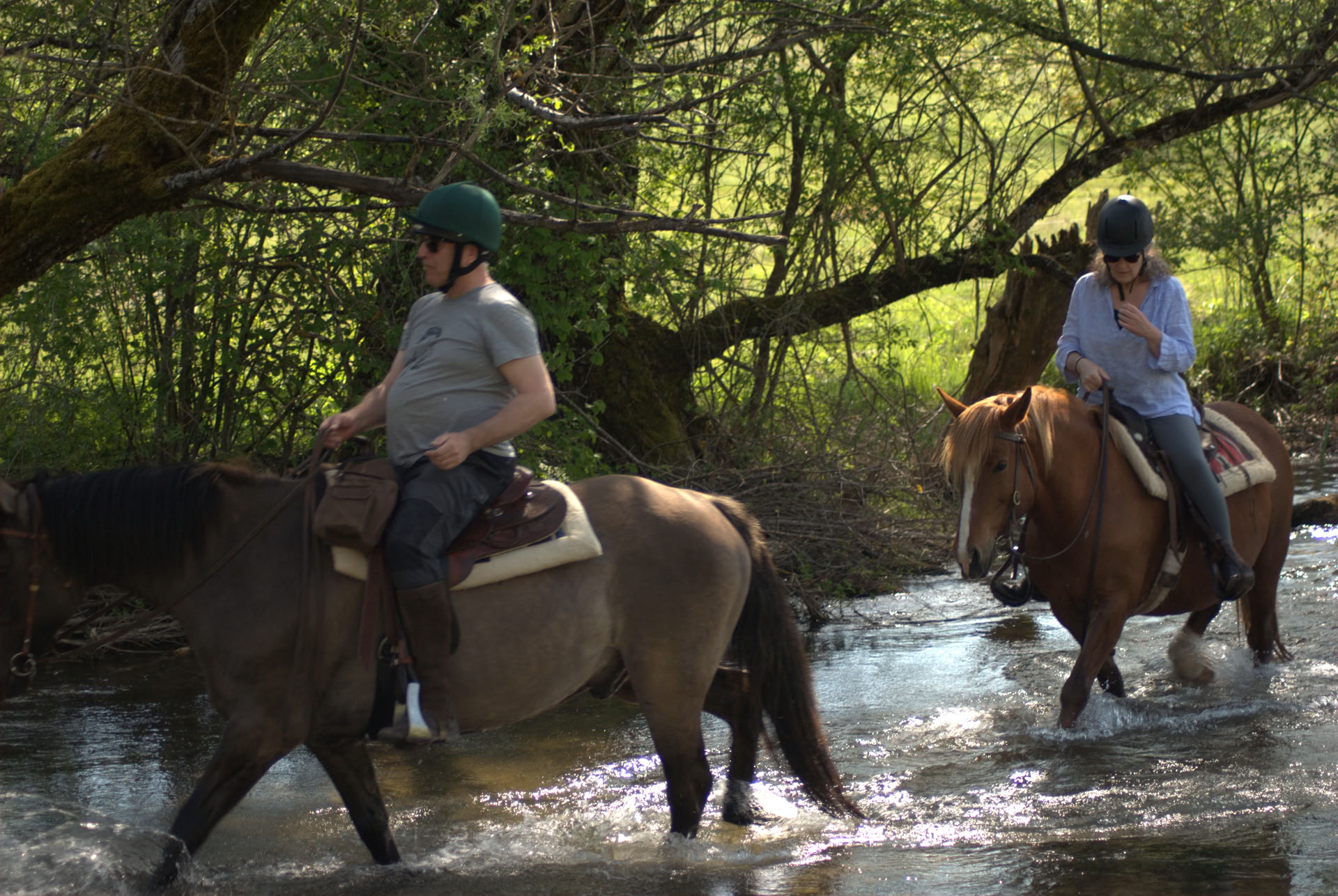 Healing on Horseback | Bosnie
