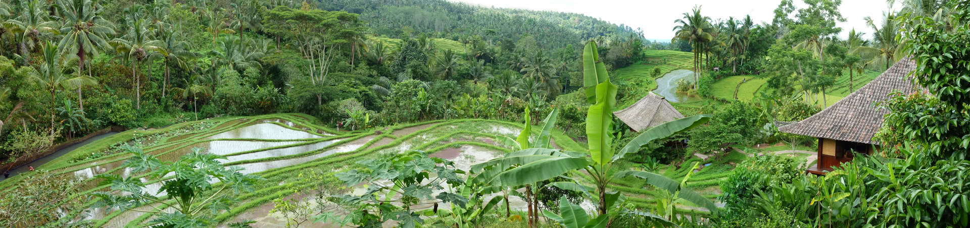 Offre unique à Bali