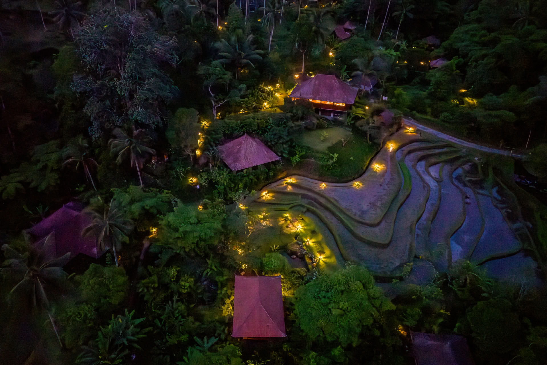 Offre unique à Bali