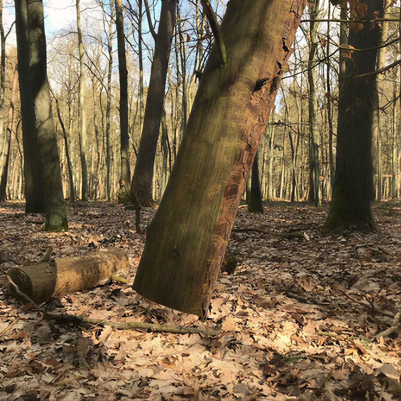 Retraite de Breathwork