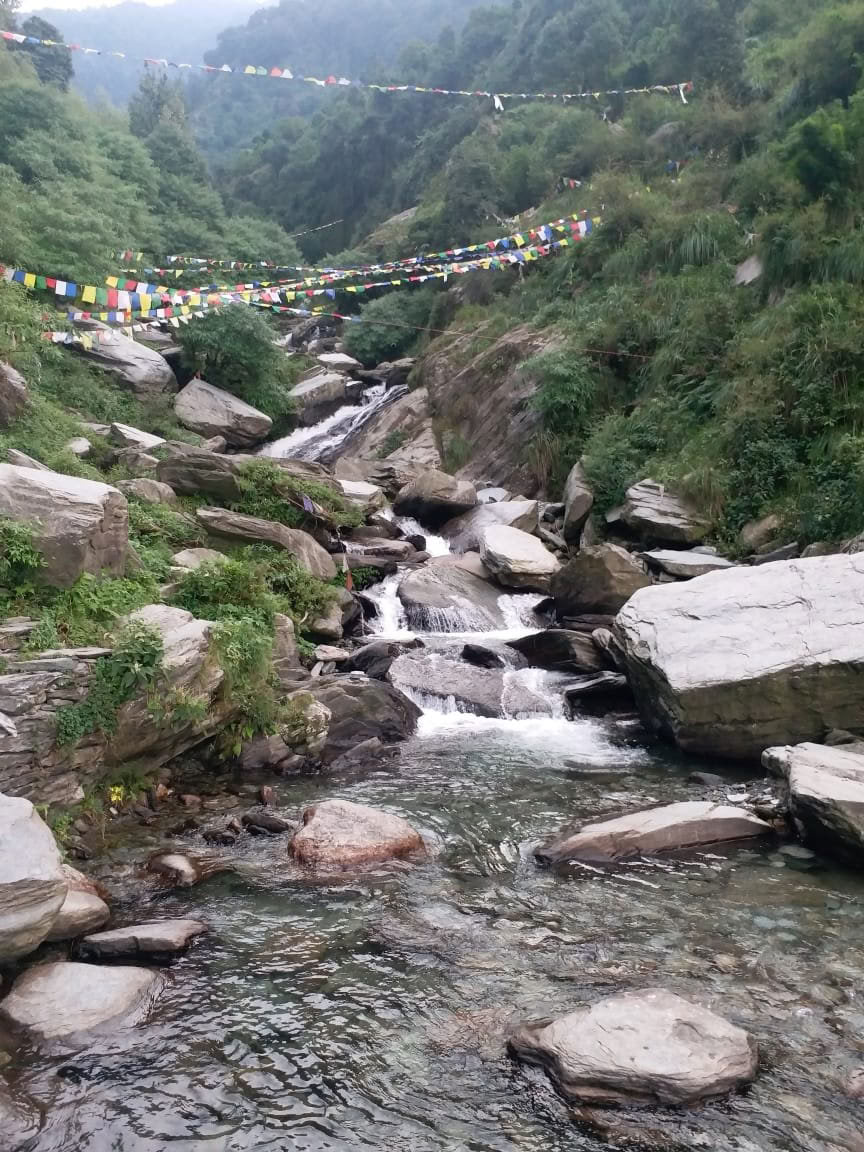 Formation de professeur de yoga de 200 heures à Dharamsala