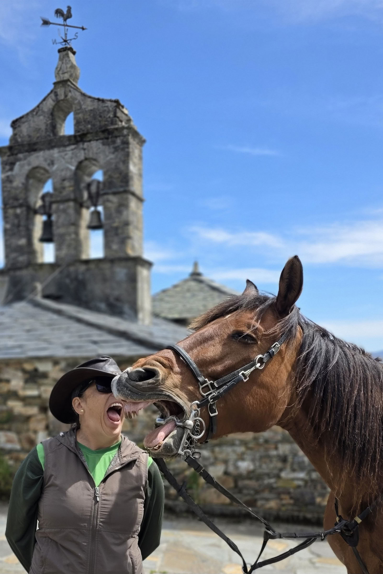 El Camino Total Eclipse : randonnée, vélo et équitation