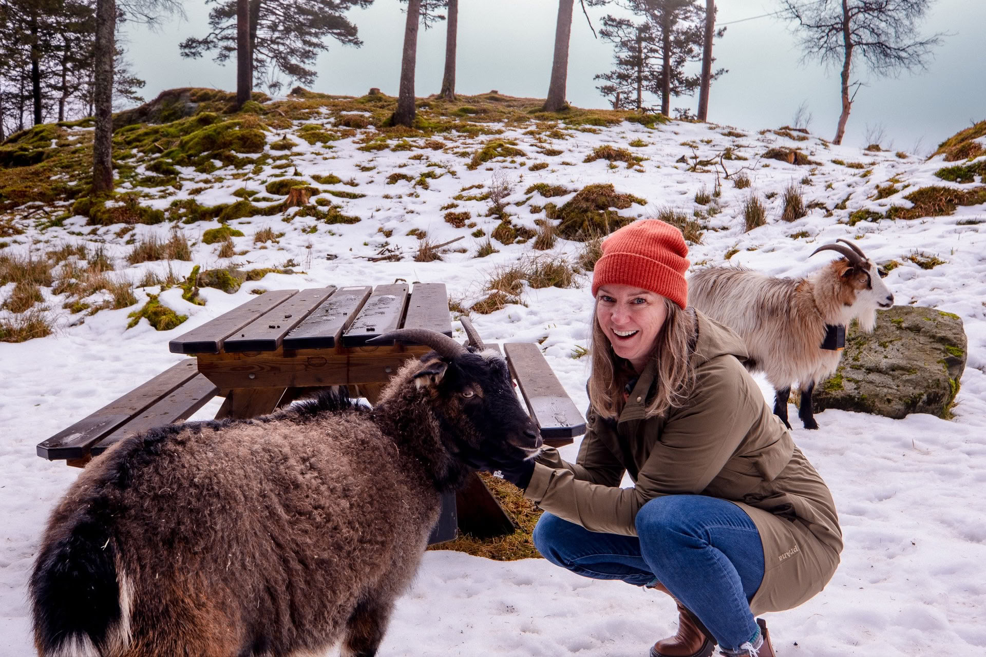 Norvège Yoga & Backpacking