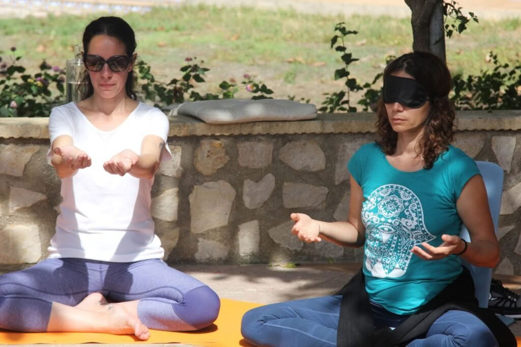 Satsang public en direct