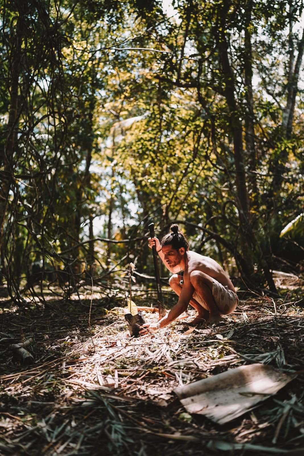 Immersion dans la jungle Source Cacao