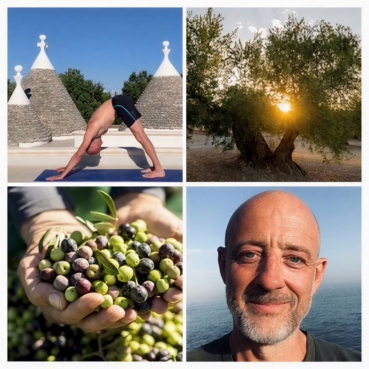 Retraite de yoga et de récolte des olives