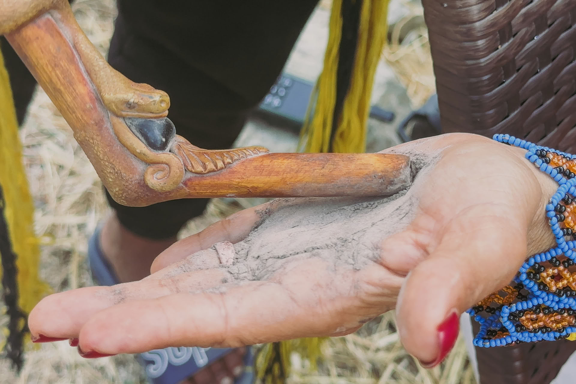 Cérémonies sacrées de l’Ayahuasca mère