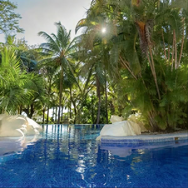 The Inner well retraite: Costa Rica 2027