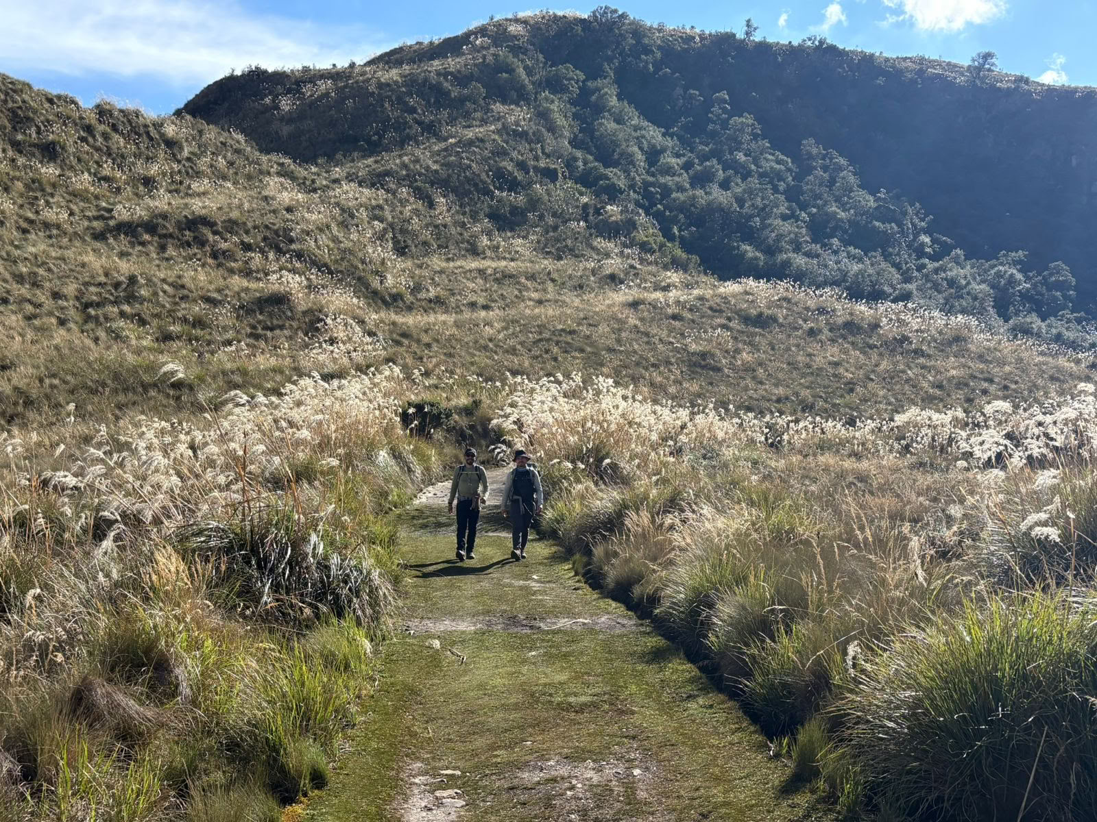 Retraite d'Ayahuasca · 5 juil. – 12 2026