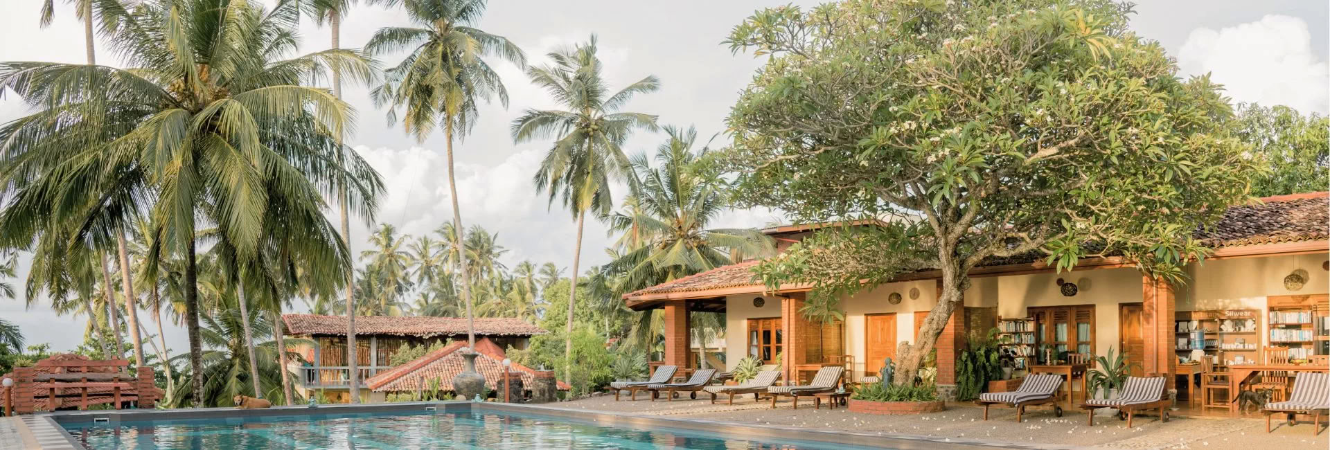 Sri Lanka retraite – Avril 2027