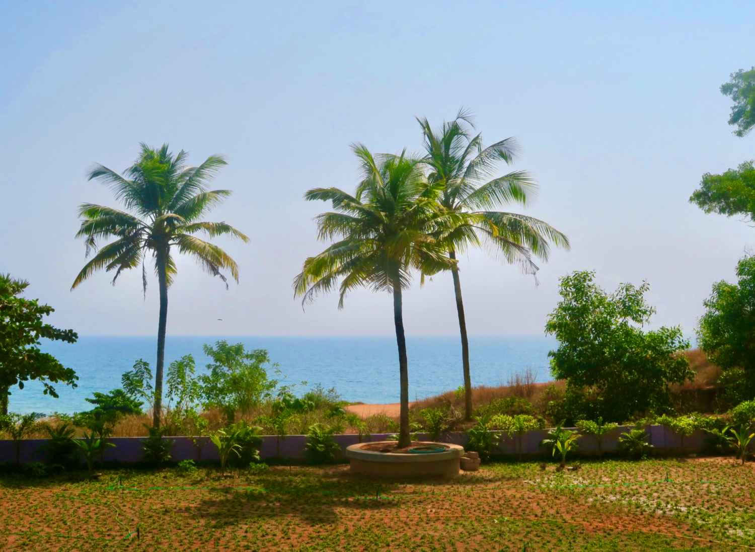 Retraite de 14 jours Panchakarma & Yoga à Varkala, Kerala