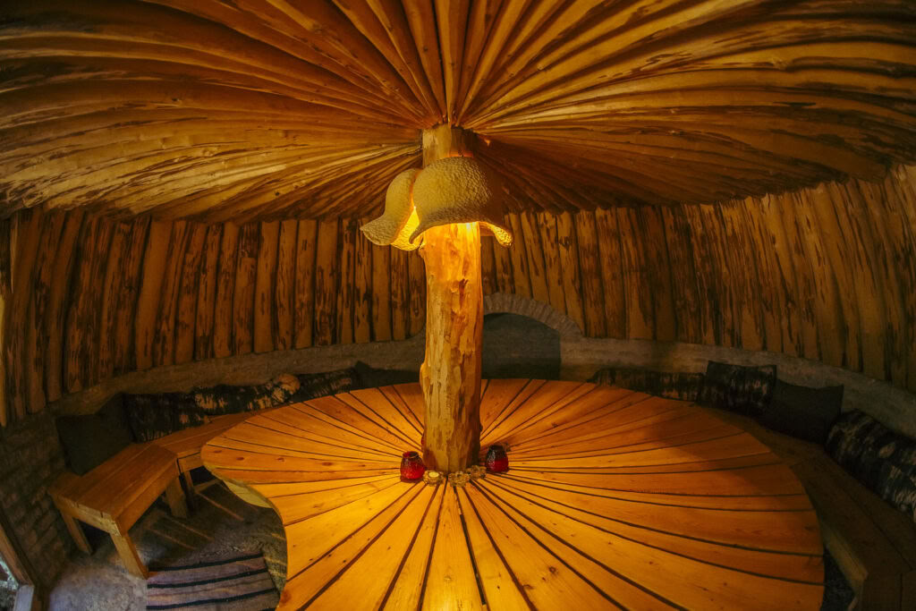 Retraite avec Ayahuasca et médecine traditionnelle indigène